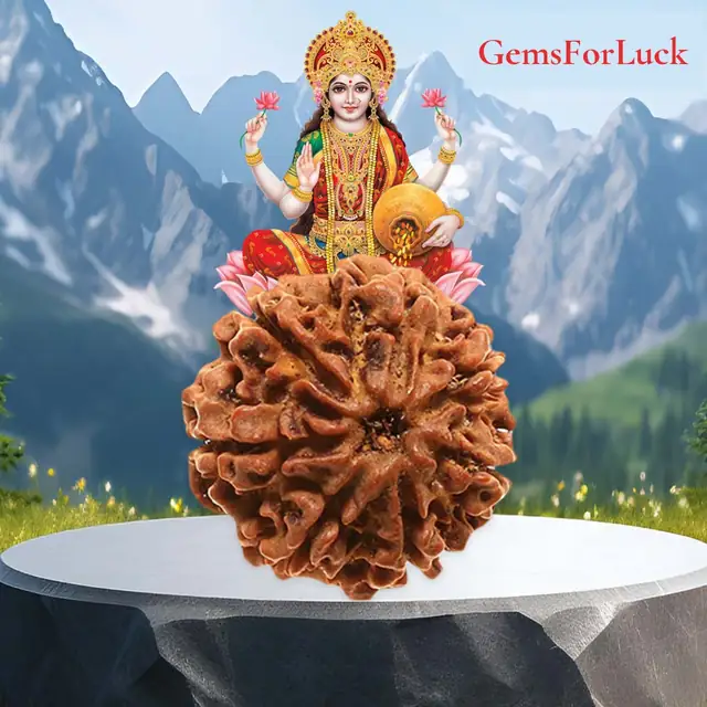 07 Faced Natural Nepali Rudraksha Beads – image 2