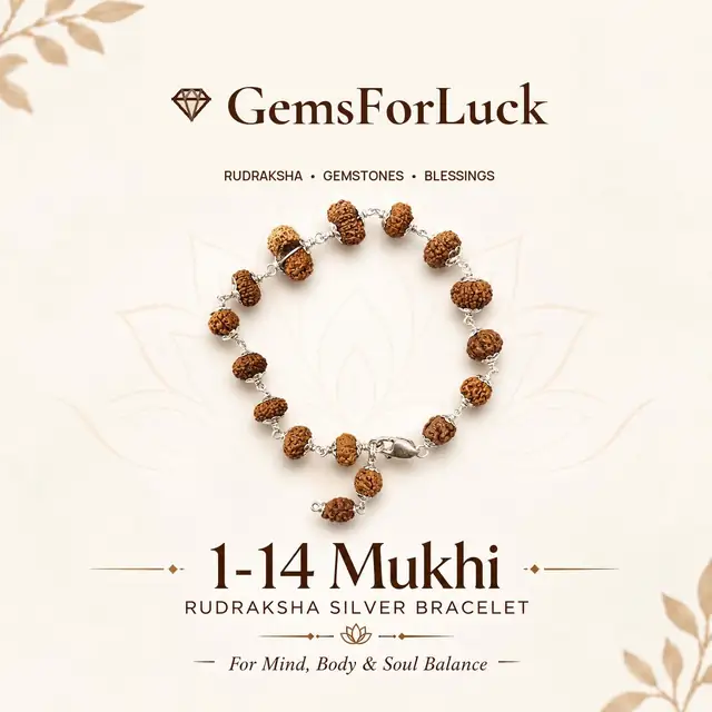 1 - 14 Mukhi Indonesian Rudraksha Bracelet In Pure Silver
