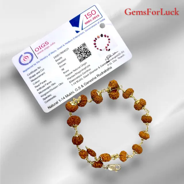 1 - 14 Mukhi Indonesian Rudraksha Bracelet In Pure Silver – image 3