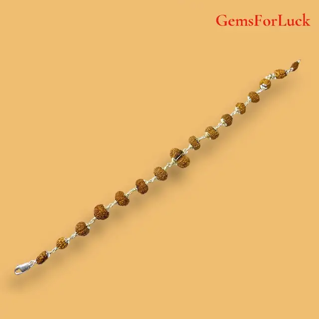 1 - 14 Mukhi Indonesian Rudraksha Bracelet In Pure Silver – image 5