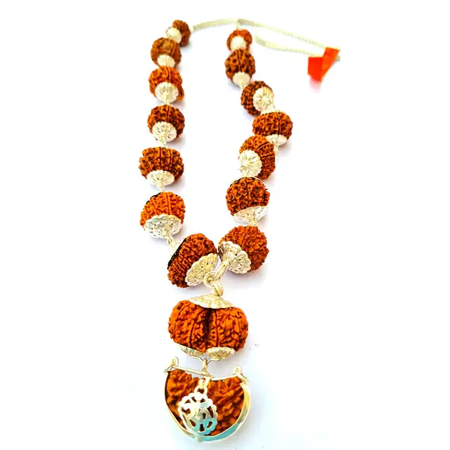 1 -14 Mukhi Rudraksha Siddha Mala with silver Cap nepali – image 3