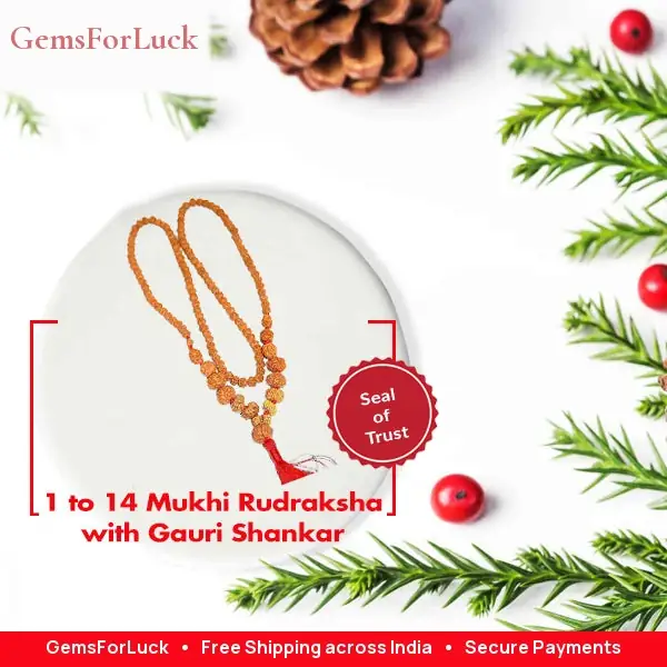 1-14 Mukhi Rudraksha with Gauri Shankar kantha indonesia Indrani Mala – image 6