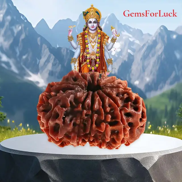 10 Faced Natural Nepali Rudraksha Beads – image 2