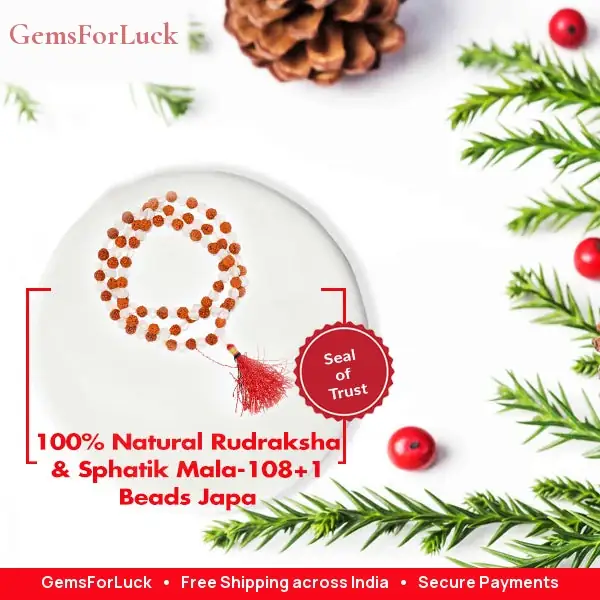 100% Rudraksha & sphatik mala – image 2