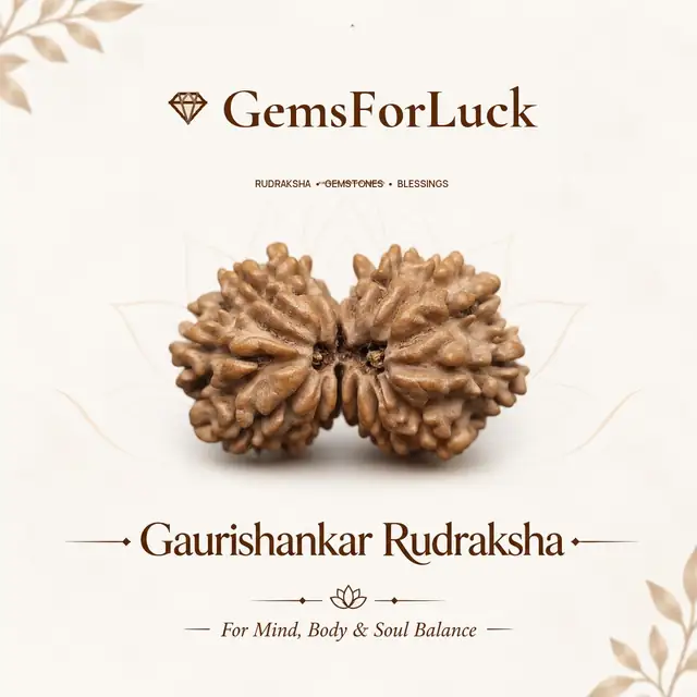 Gauri Shankar Rudraksha