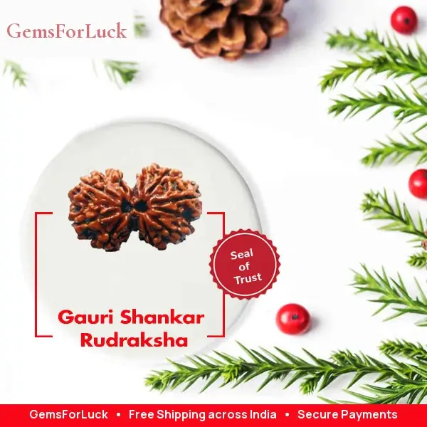 Gauri Shankar Rudraksha – image 3