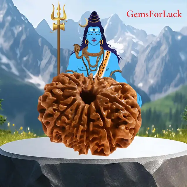 12 Faced Natural Nepali Rudraksha Beads collector