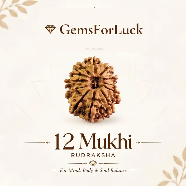 12 Faced Natural Nepali Rudraksha Beads