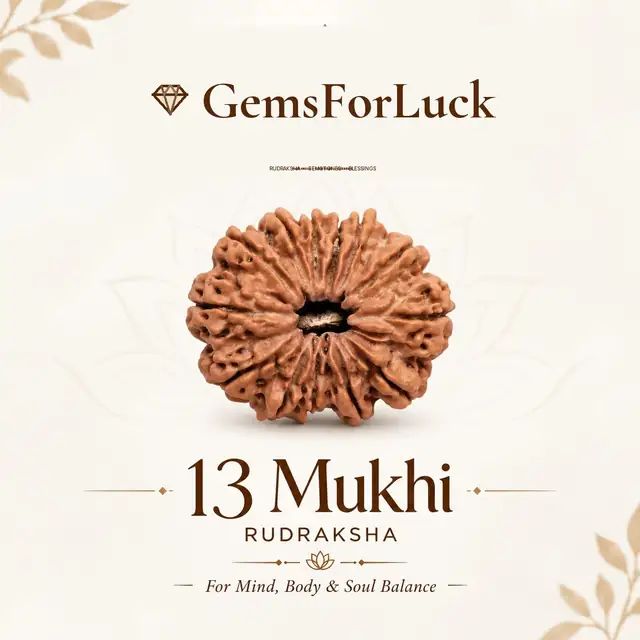 13 Faced Natural Nepali Rudraksha Beads