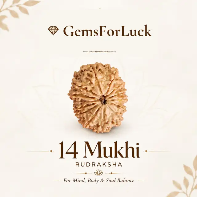 14 Faced Natural Nepali Rudraksha Beads