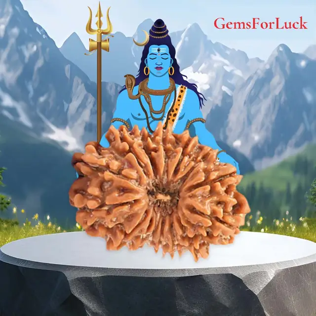 15 Faced Natural Nepali Rudraksha Bead collector