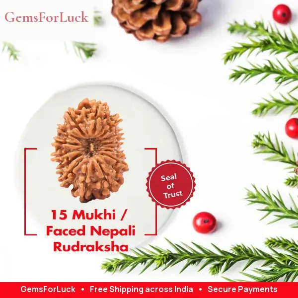15 Faced Natural Nepali Rudraksha Beads – image 3