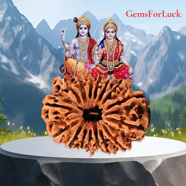 17 Faced Natural Nepali Rudraksha Bead collector