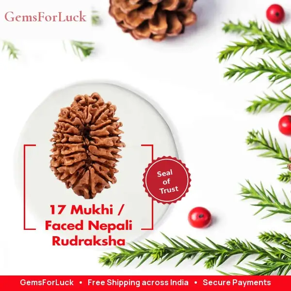 17 Faced Natural Nepali Rudraksha Beads – image 3