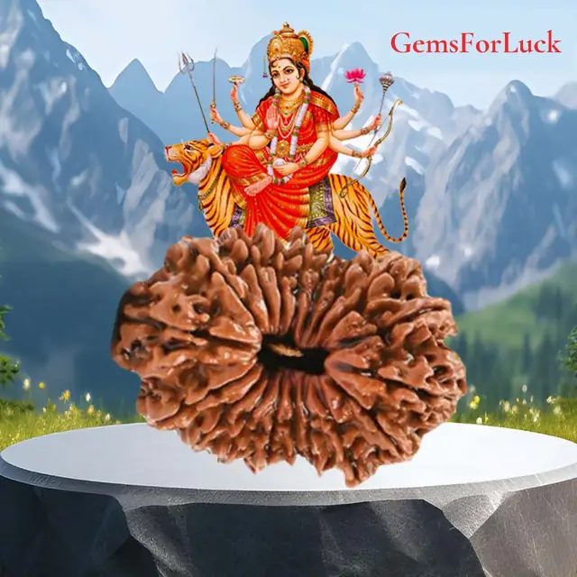 18 Mukhi Nepali Rudraksha Beads – image 2