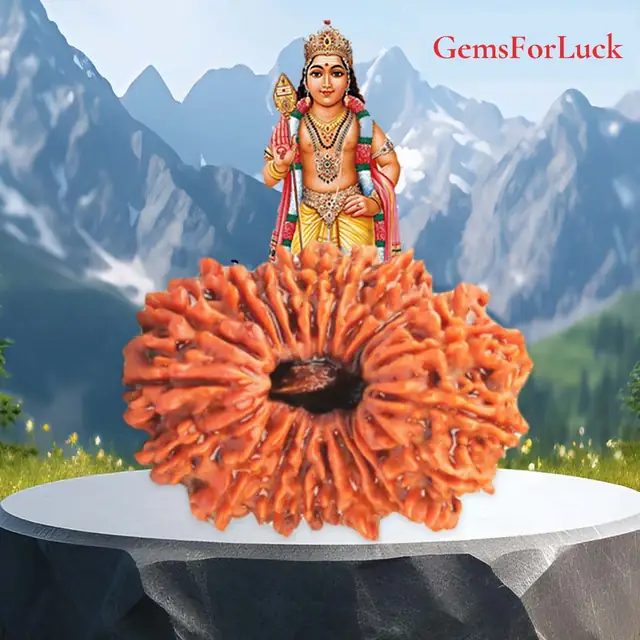 21 Faced Natural Nepali Rudraksha Bead collector