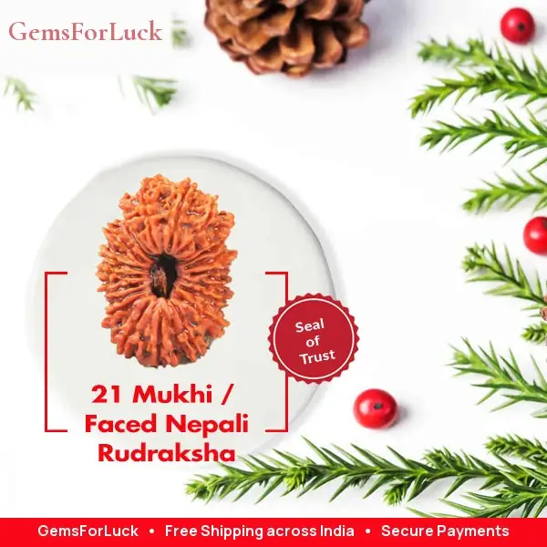 21 Faced Natural Nepali Rudraksha Bead collector – image 2