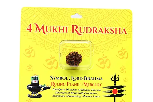 4 face / Mukhi Nepali Rudraksha Collector – image 3
