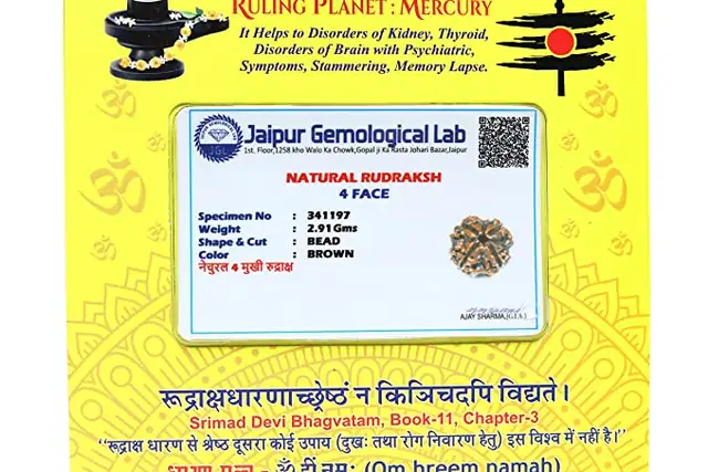 4 face / Mukhi Nepali Rudraksha Collector – image 4