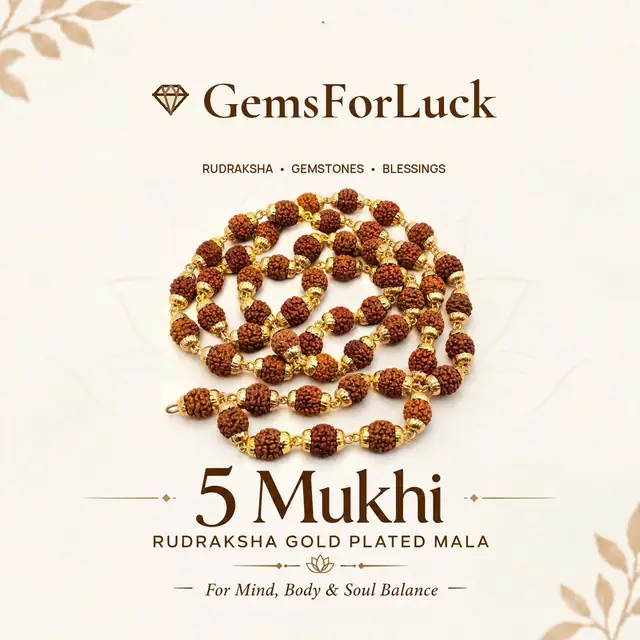 Rudraksha Malas