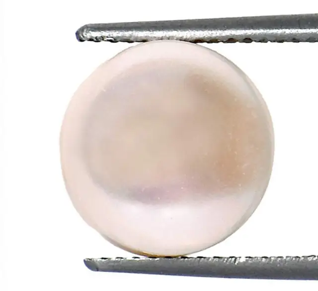 6.50 Ratti Real Pearl – image 3