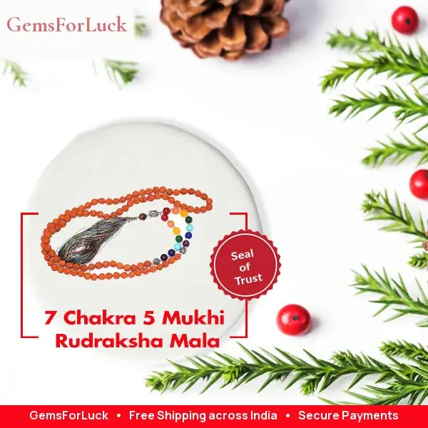 7 Chakra 5 Mukhi Rudraksha Mala – image 2