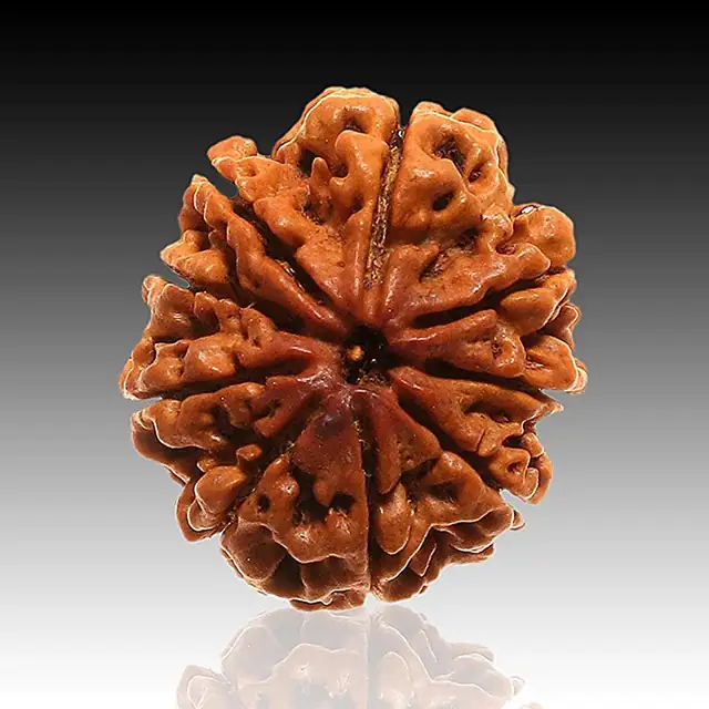 9 Mukhi Rudraksha Pendant kavach – image 4