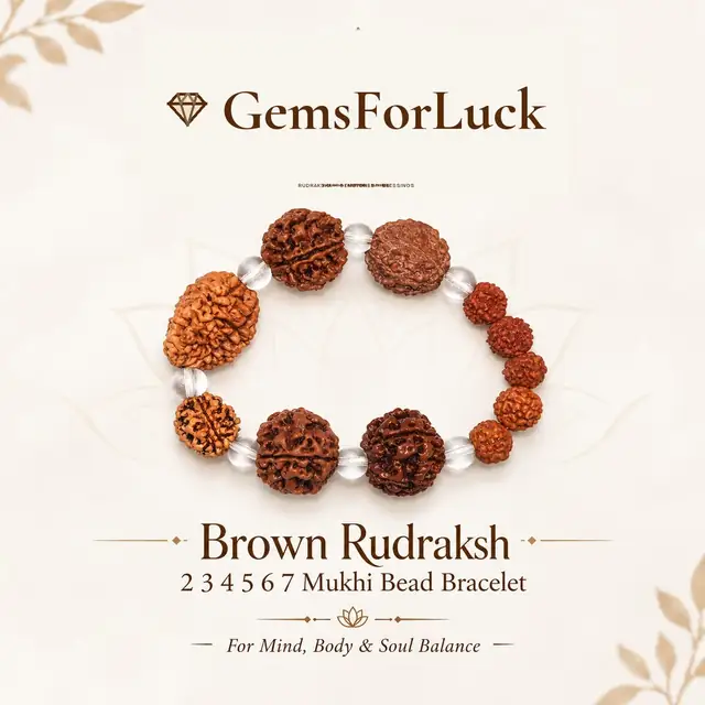Brown Rudraksh 2 3 4 5 6 7 Mukhi Beads