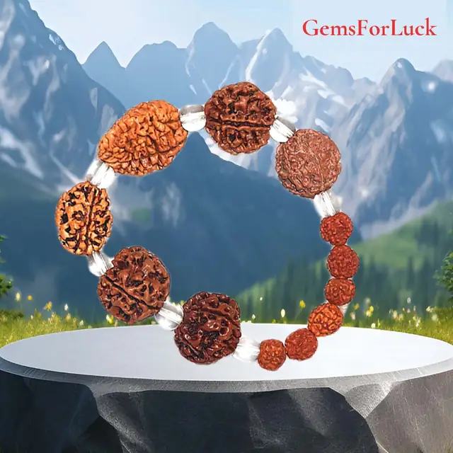 Brown Rudraksh 2 3 4 5 6 7 Mukhi Beads – image 2