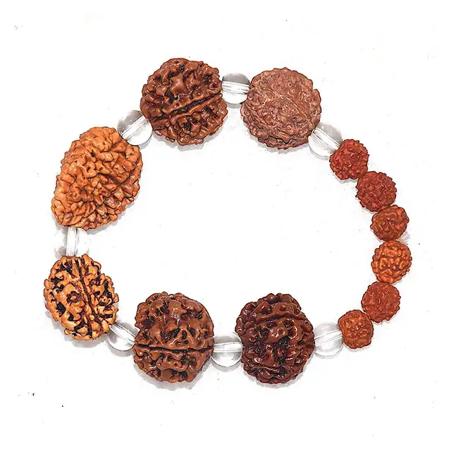 Brown Rudraksh 2 3 4 5 6 7 Mukhi Beads – image 4