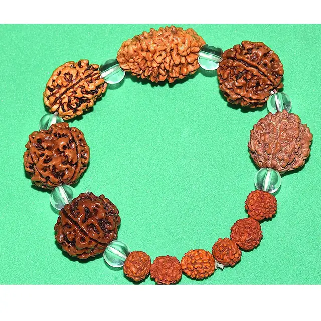 Brown Rudraksh 2 3 4 5 6 7 Mukhi Beads – image 5