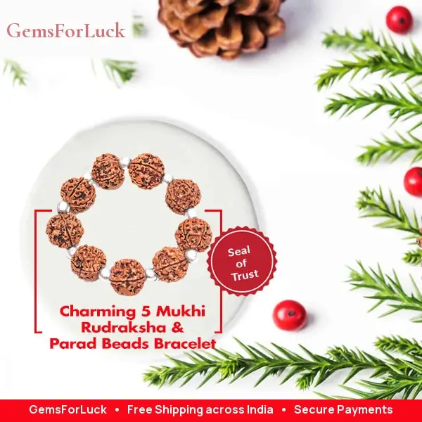 Charming 5 Mukhi Rudraksha & Parad beads Bracelet – image 2