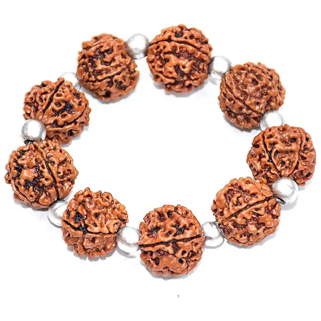 Charming 5 Mukhi Rudraksha & Parad beads Bracelet – image 4