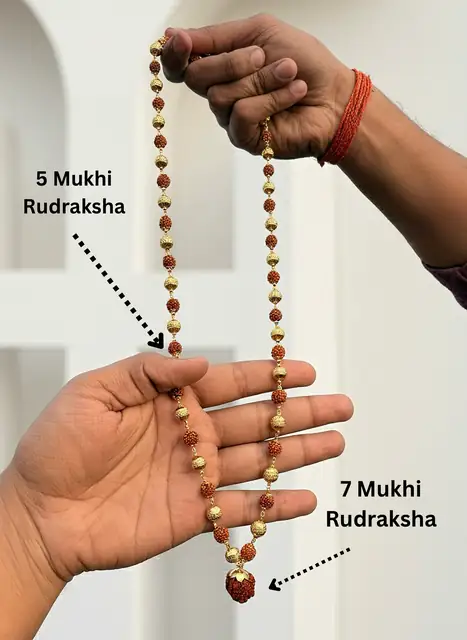Divye 5 Mukhi Rudraksha Mala with Powerful 7 Mukhi Rudraksha Pendant – image 4