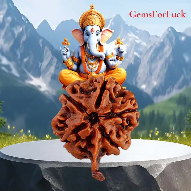 Ganesh Rudraksha – image 2