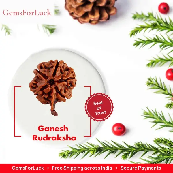 Ganesh Rudraksha – image 3