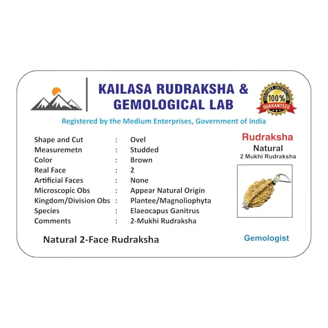 GemsForLuck 2 Mukhi Rudraksha Original Natural Rudraksha Bead with Red Thread – image 3