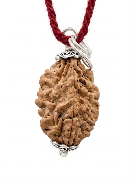 GemsForLuck 2 Mukhi Rudraksha Original Natural Rudraksha Bead with Red Thread – image 4