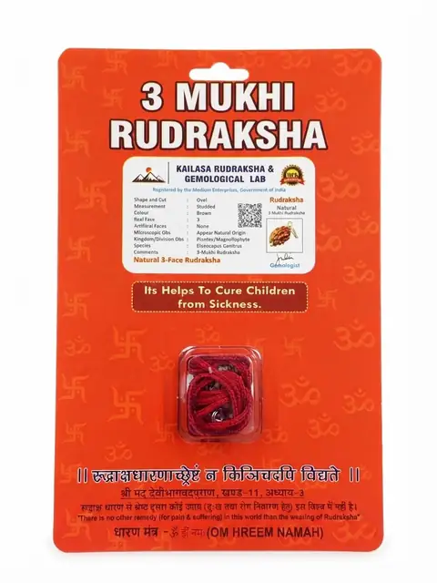 GemsForLuck 3 Mukhi Rudraksha with Silver Plated Cap