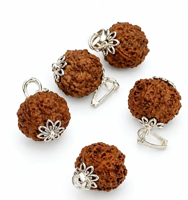Rudraksha
