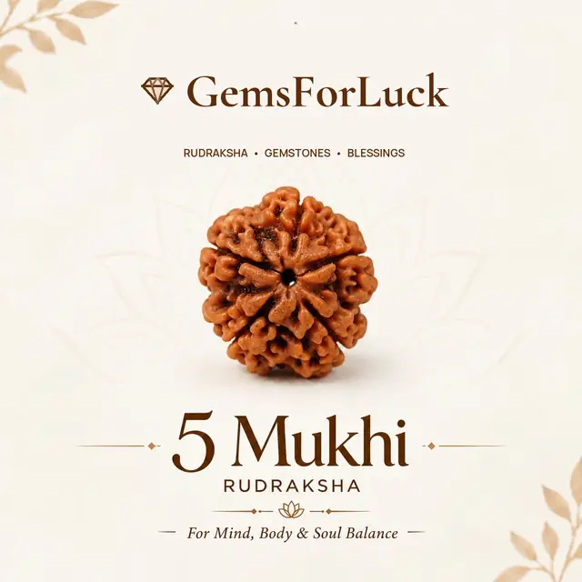 GemsForLuck 5 Mukhi Rudraksha Pendant SET OF 5 – image 2