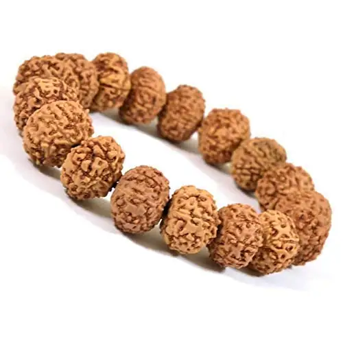GemsForLuck 7 Mukhi Rudraksha Bracelet Certified Energized 7 Mukhi Rudraksha Bracelet Adjustable Unisex – image 3