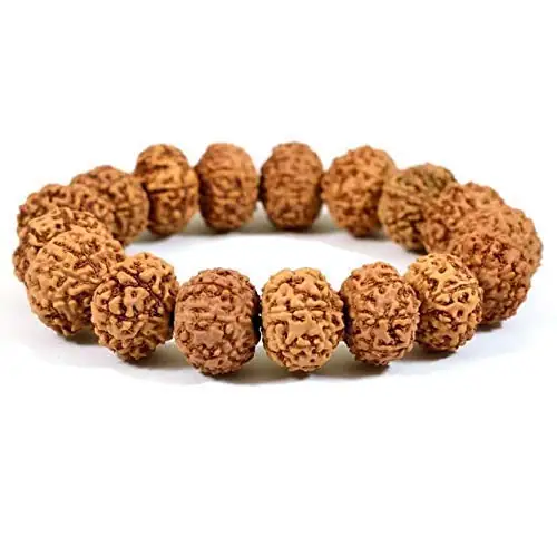 GemsForLuck 8 Mukhi Rudraksha Bracelet Unisex Bracelet Java Beads Adjustable 8 Mukhi Rudraksha Bracelet – image 2