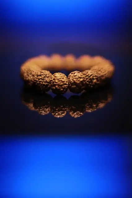 GemsForLuck 8 Mukhi Rudraksha Bracelet Unisex Bracelet Java Beads Adjustable 8 Mukhi Rudraksha Bracelet – image 6