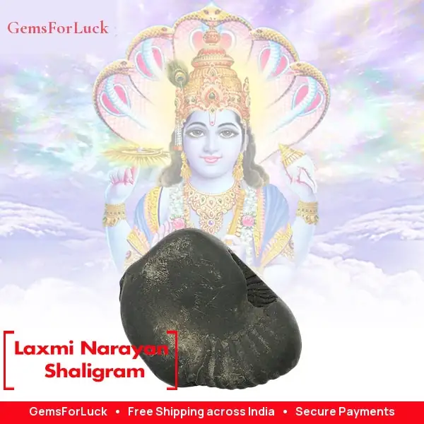 Laxmi Narayan Shaligram – image 2