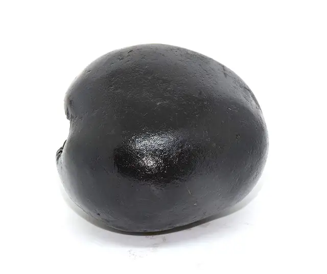 Laxmi Narayan Shaligram – image 5