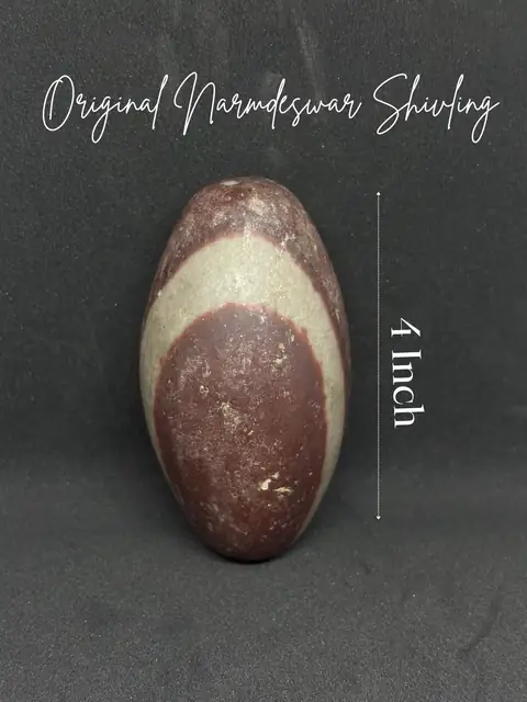 Natural Narmadeshwar Shivling for Sawan Shiv Puja – image 5