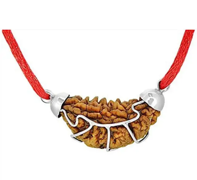 One Mukhi / Faced Half Moon Rudraksha / 1 mukhi caping Collector – image 4