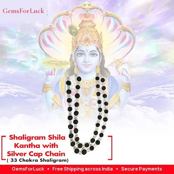 Original Shaligram Shila Kantha with Silver Cap – image 2
