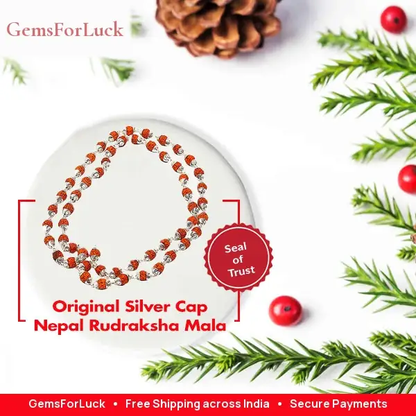 Original Silver Cap Indonesian Rudraksha Mala – image 2